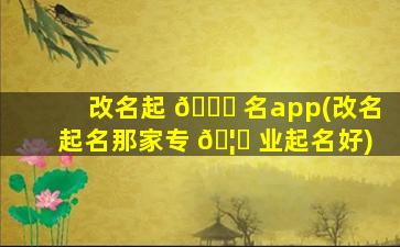 改名起 🐞 名app(改名起名那家专 🦊 业起名好)
